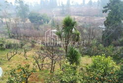 شقة سكنية 8-комн 250 m² - يوريفسكايا, Batumi