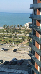 شقة سكنية 42 متر مربع - أنجيسا, Batumi, جورجيا