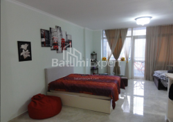 شقة سكنية 50 متر مربع - نيكو بيروسماني, Batumi, جورجيا