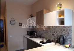 شقة سكنية 34 متر مربع - شالفا إيناساريدزه, Batumi, جورجيا