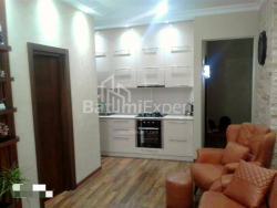 شقة سكنية 48.9 متر مربع - شالفا إيناساريدزه, Batumi, جورجيا