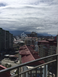 شقة سكنية 49.3 متر مربع - شالفا إيناساريدزه, Batumi, جورجيا
