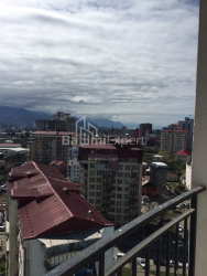 شقة سكنية 49.3 متر مربع - شالفا إيناساريدزه, Batumi, جورجيا