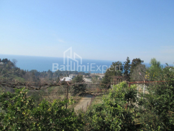 منزل شخصي 4000 متر مربع - ديفيد أغماشينيبيلي, Kobuleti, جورجيا