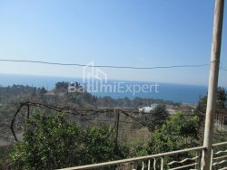 منزل شخصي 6-комн 4000 m² - ديفيد أغماشينيبيلي, Kobuleti
