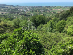 منزل شخصي 2255 متر مربع - أغماشينيبيلي, Chakvi, جورجيا