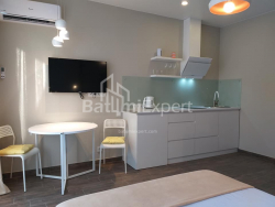 شقة سكنية 33 متر مربع - شالفا إيناساريدزه, Batumi, جورجيا
