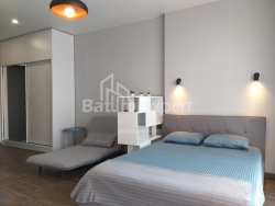 شقة سكنية 33 متر مربع - شالفا إيناساريدزه, Batumi, جورجيا