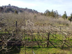 قطعة أرض 4260 متر مربع - ديفيد أغماشينيبيلي, Kobuleti, جورجيا