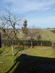 قطعة أرض 4260 m² - ديفيد أغماشينيبيلي, Kobuleti