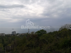 قطعة أرض 1000 m² - أخالغازردوبة, Makhinjauri