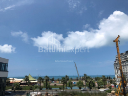 شقة سكنية 29 متر مربع - زورابا جورجيلادزه, Batumi, جورجيا