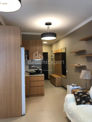 شقة سكنية 43 متر مربع - زورابا جورجيلادزه, Batumi, جورجيا