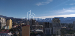 شقة سكنية 31.3 متر مربع - شالفا إيناساريدزه, Batumi, جورجيا