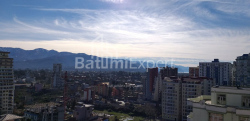 شقة سكنية 31.3 متر مربع - شالفا إيناساريدزه, Batumi, جورجيا