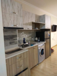 شقة سكنية 42 متر مربع - شالفا إيناساريدزه, Batumi, جورجيا