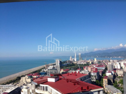 شقة سكنية 30.75 متر مربع - شريف خيمشياشفيلي, Batumi, جورجيا