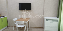شقة سكنية 33 متر مربع - شالفا إيناساريدزه, Batumi, جورجيا