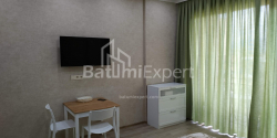 شقة سكنية 33 متر مربع - شالفا إيناساريدزه, Batumi, جورجيا