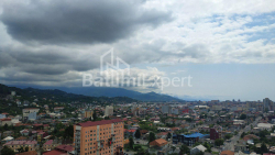شقة سكنية 82 متر مربع - الكسندرا بوشكين, Batumi, جورجيا