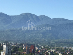 شقة سكنية 28.8 متر مربع - يوسف كوبالادزه, Batumi, جورجيا