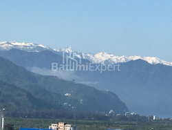 شقة سكنية 28.8 متر مربع - يوسف كوبالادزه, Batumi, جورجيا