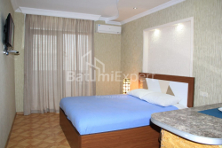 شقة سكنية 28 متر مربع - يوسف كوبالادزه, Batumi, جورجيا