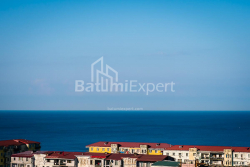 شقة سكنية 33.1 متر مربع - شالفا إيناساريدزه, Batumi, جورجيا