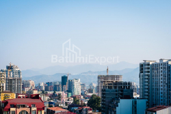 شقة سكنية 33.1 متر مربع - شالفا إيناساريدزه, Batumi, جورجيا