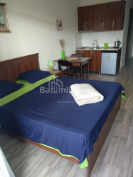 شقة سكنية 28 متر مربع - يوسف كوبالادزه, Batumi, جورجيا