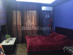 شقة سكنية 24.06 متر مربع - يوسف كوبالادزه, Batumi, جورجيا