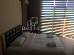 شقة سكنية 32.77 متر مربع - يوسف كوبالادزه, Batumi, جورجيا