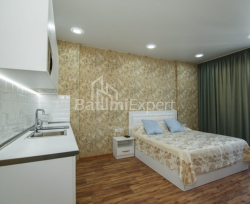 شقة سكنية 32 متر مربع - شالفا إيناساريدزه, Batumi, جورجيا