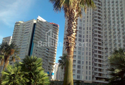 شقة سكنية 29 متر مربع - زورابا جورجيلادزه, Batumi, جورجيا