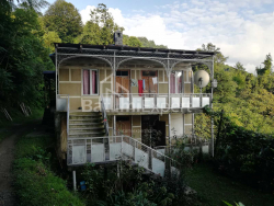 منزل شخصي 4-комн 2501 m² - اكاكي شاينيدزه, Khelvachauri