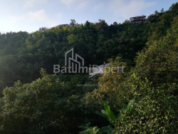 منزل شخصي 4-комн 2501 m² - اكاكي شاينيدزه, Khelvachauri
