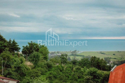 منزل شخصي 280 متر مربع - طريق المطار السريع, Batumi, جورجيا