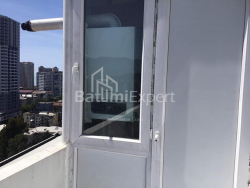 شقة سكنية 28 متر مربع - الكسندرا بوشكين, Batumi, جورجيا