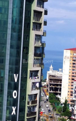 شقة سكنية 42 متر مربع - ديفيد أغماشينبلي, Batumi, جورجيا