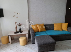 شقة سكنية 35.6 متر مربع - نيكو بيروسماني, Batumi, جورجيا