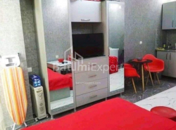 شقة سكنية 32 متر مربع - نيكو بيروسماني, Batumi, جورجيا