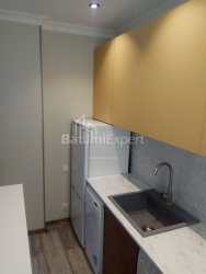شقة سكنية 42.3 متر مربع - ليش وماريا كاتشينسكي, Batumi, جورجيا