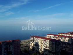 شقة سكنية 26 متر مربع - أنجيسا, Batumi, جورجيا
