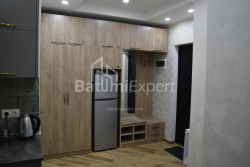 شقة سكنية 40 متر مربع - شالفا إيناساريدزه, Batumi, جورجيا
