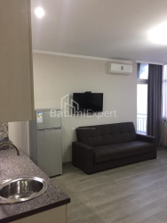 شقة سكنية 28.5 متر مربع - شالفا إيناساريدزه, Batumi, جورجيا