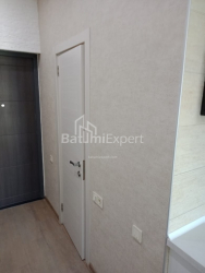 شقة سكنية 33 متر مربع - شالفا إيناساريدزه, Batumi, جورجيا