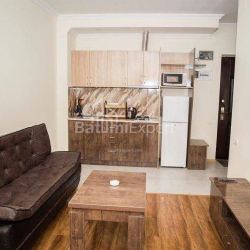 شقة سكنية 2-комн 41.2 m² - الكسندرا بوشكين, Batumi