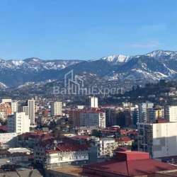 شقة سكنية 50 متر مربع - سليمة خيمشياشفيلي, Batumi, جورجيا
