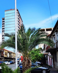 شقة سكنية 80 متر مربع - ايليا تشافتشافادزه, Batumi, جورجيا