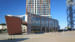 شقة سكنية 90 متر مربع - روستافيلي, Batumi, جورجيا